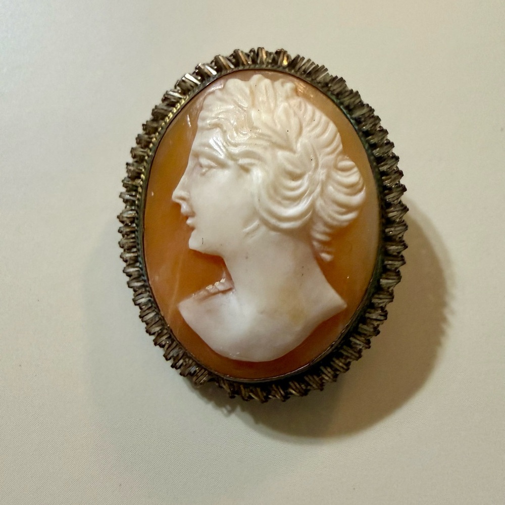 Vintage or Antique Left Facing Carnelian Shell Cameo Brooch